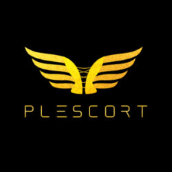 PlescortEscortAgentur avatar